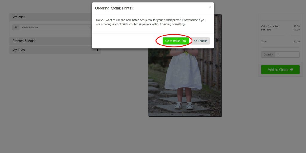When prompted choose the green batch ordering tool button, otherwise you can opt to use the regular ordering interface which is recommended if you want more control on how the image is to be cropped and/or want to mat and frame your print.